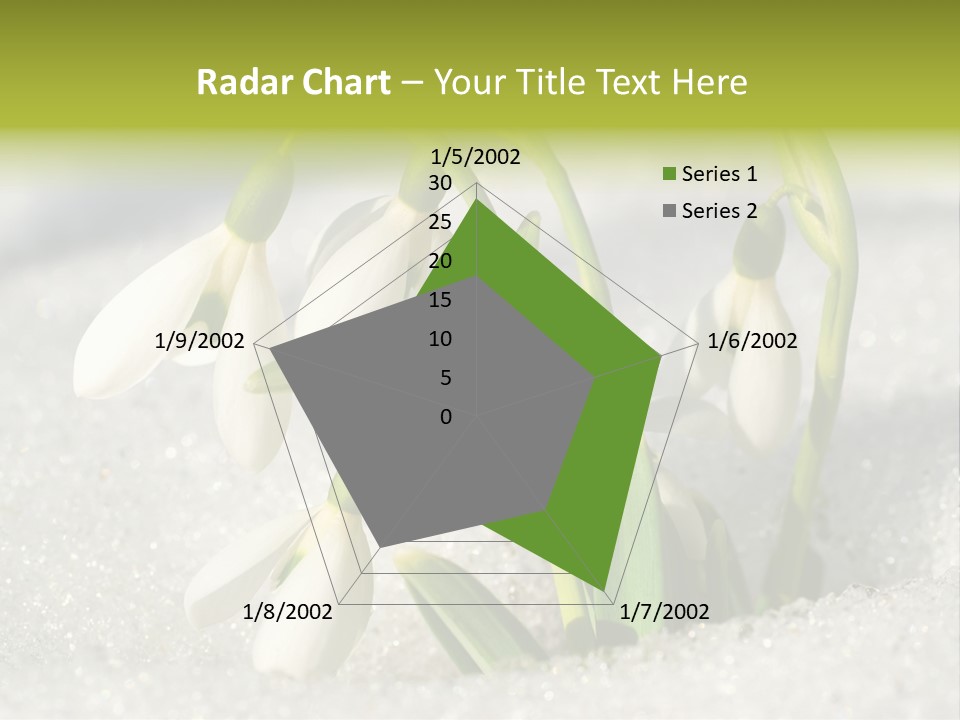 A Group Of Snowdrops In The Snow On A Sunny Day PowerPoint Template