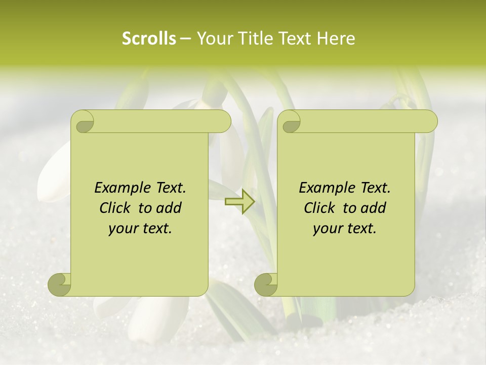 A Group Of Snowdrops In The Snow On A Sunny Day PowerPoint Template