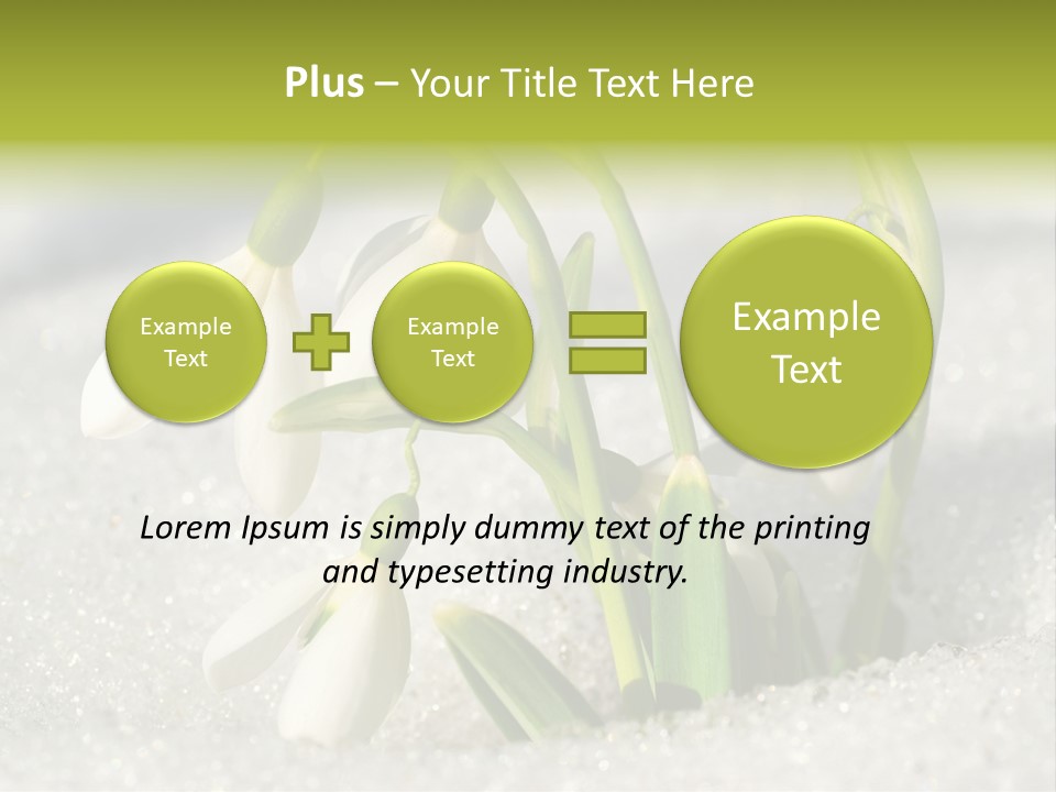 A Group Of Snowdrops In The Snow On A Sunny Day PowerPoint Template
