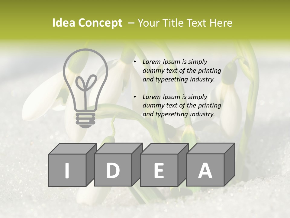 A Group Of Snowdrops In The Snow On A Sunny Day PowerPoint Template