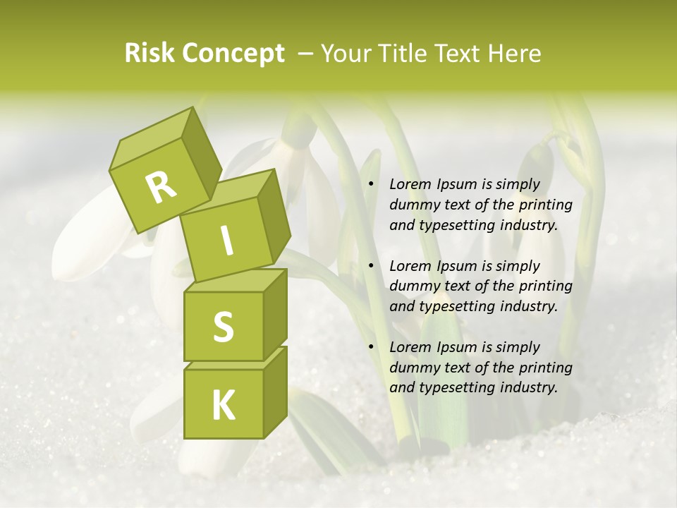 A Group Of Snowdrops In The Snow On A Sunny Day PowerPoint Template