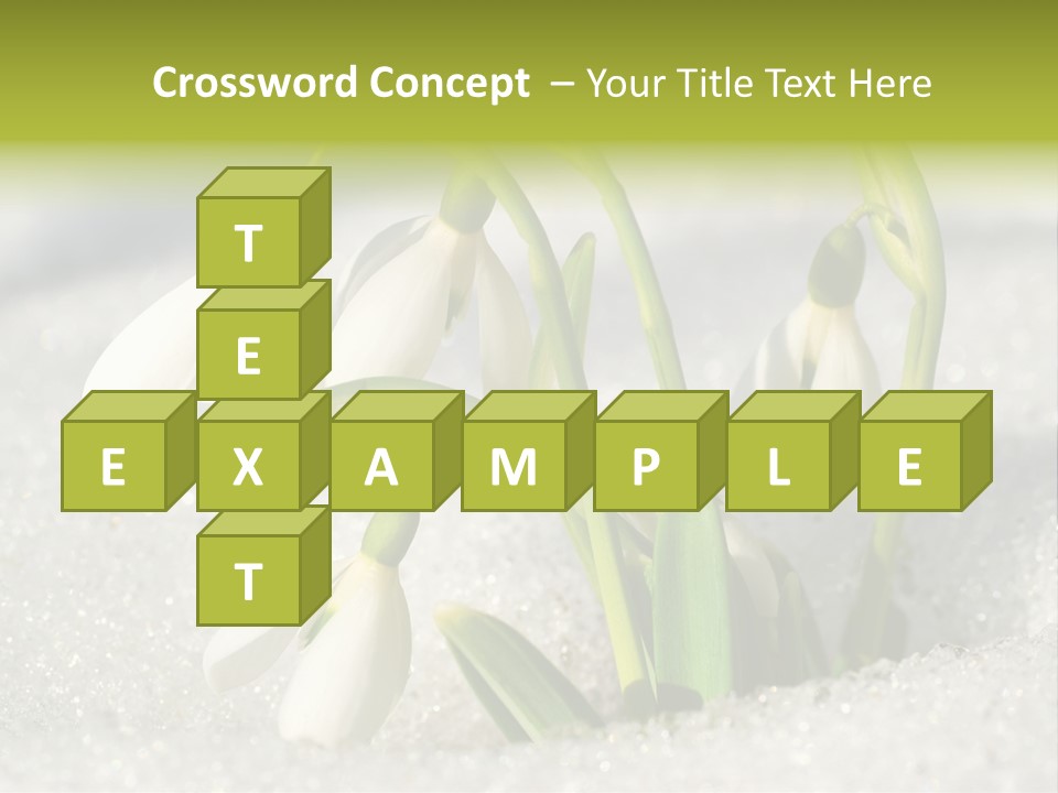 A Group Of Snowdrops In The Snow On A Sunny Day PowerPoint Template