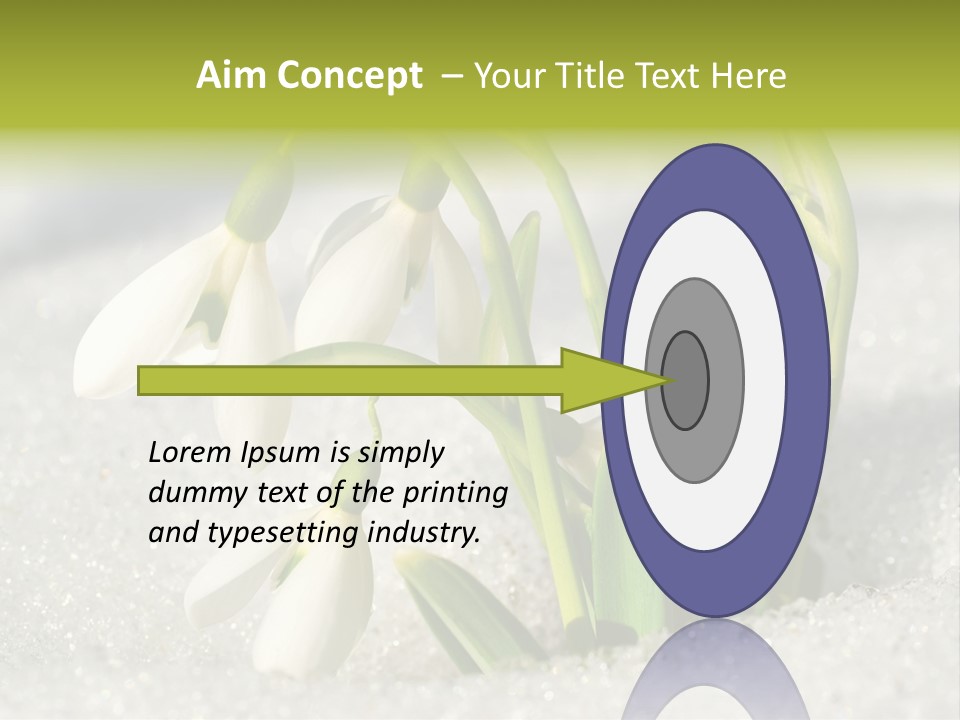 A Group Of Snowdrops In The Snow On A Sunny Day PowerPoint Template