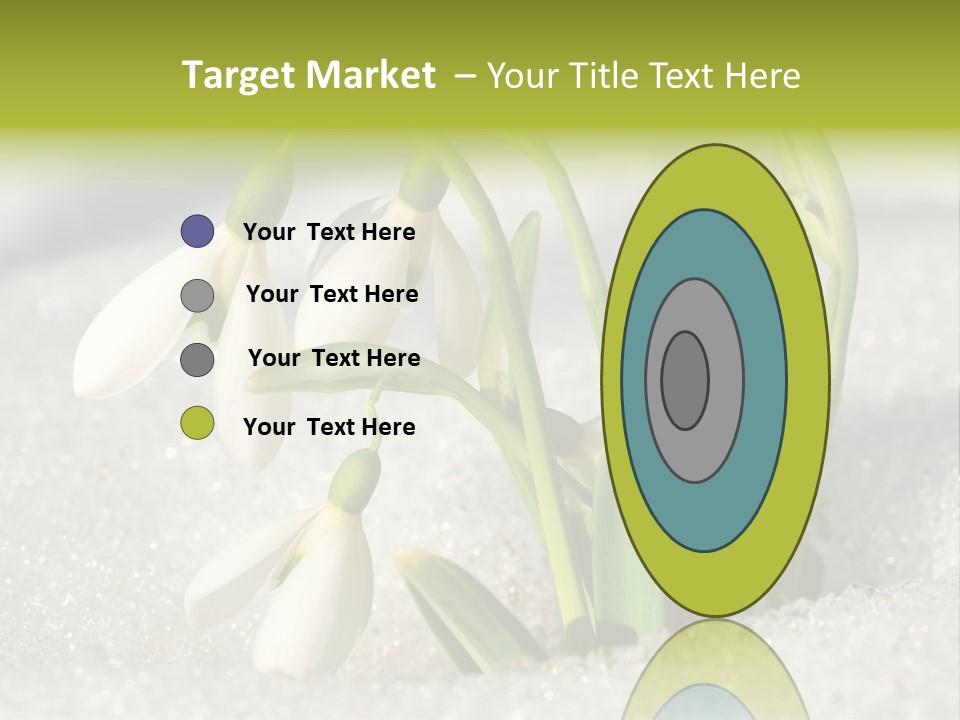 A Group Of Snowdrops In The Snow On A Sunny Day PowerPoint Template