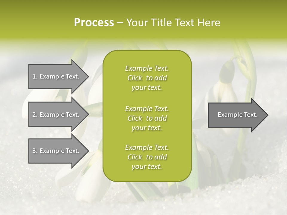 A Group Of Snowdrops In The Snow On A Sunny Day PowerPoint Template