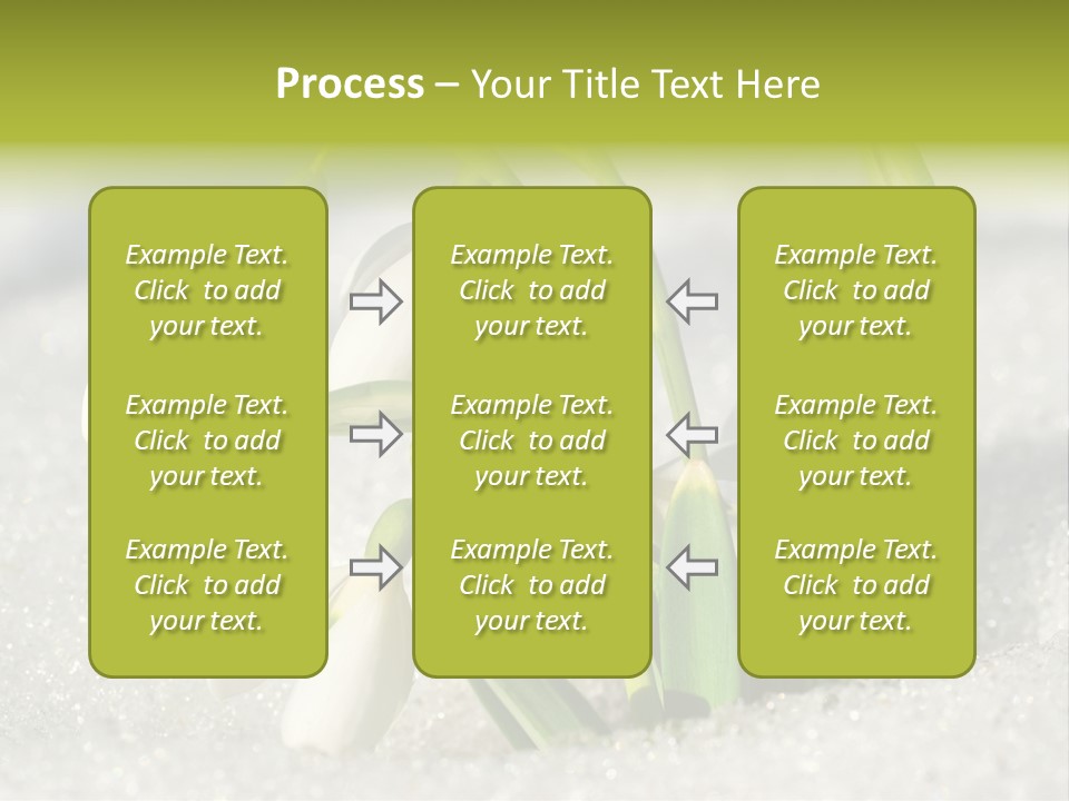 A Group Of Snowdrops In The Snow On A Sunny Day PowerPoint Template