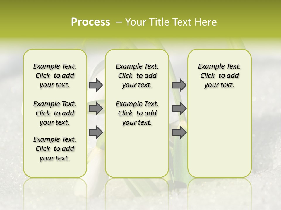 A Group Of Snowdrops In The Snow On A Sunny Day PowerPoint Template