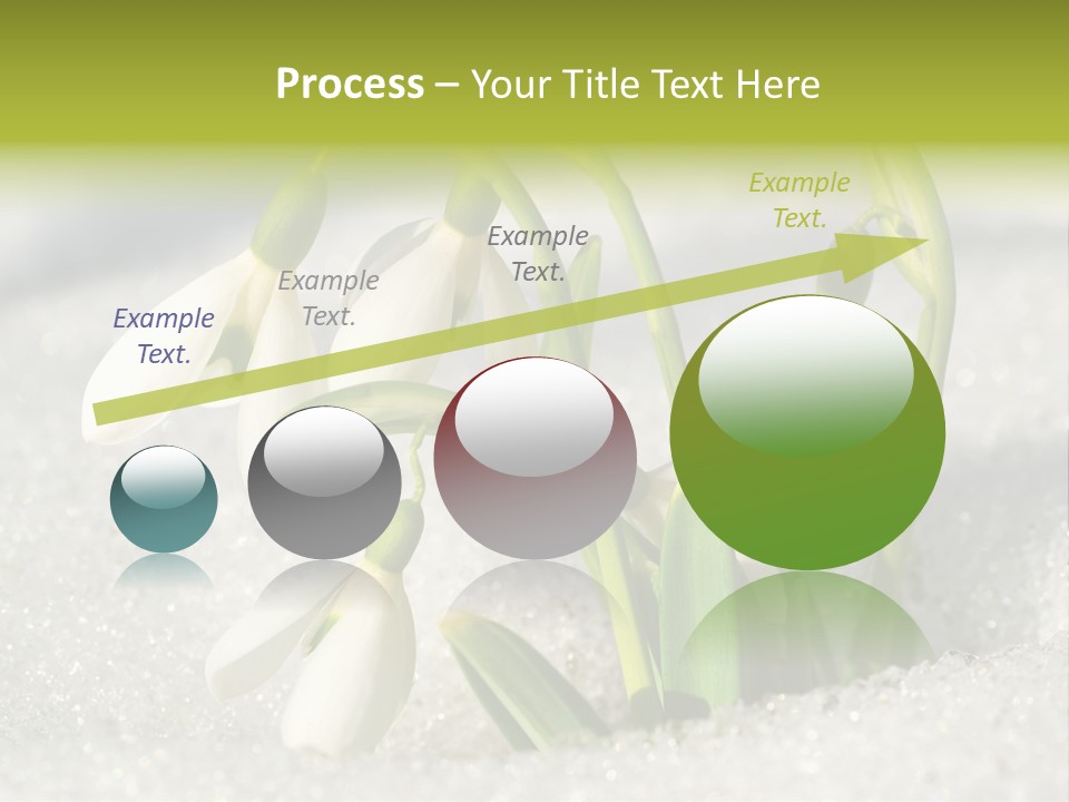 A Group Of Snowdrops In The Snow On A Sunny Day PowerPoint Template