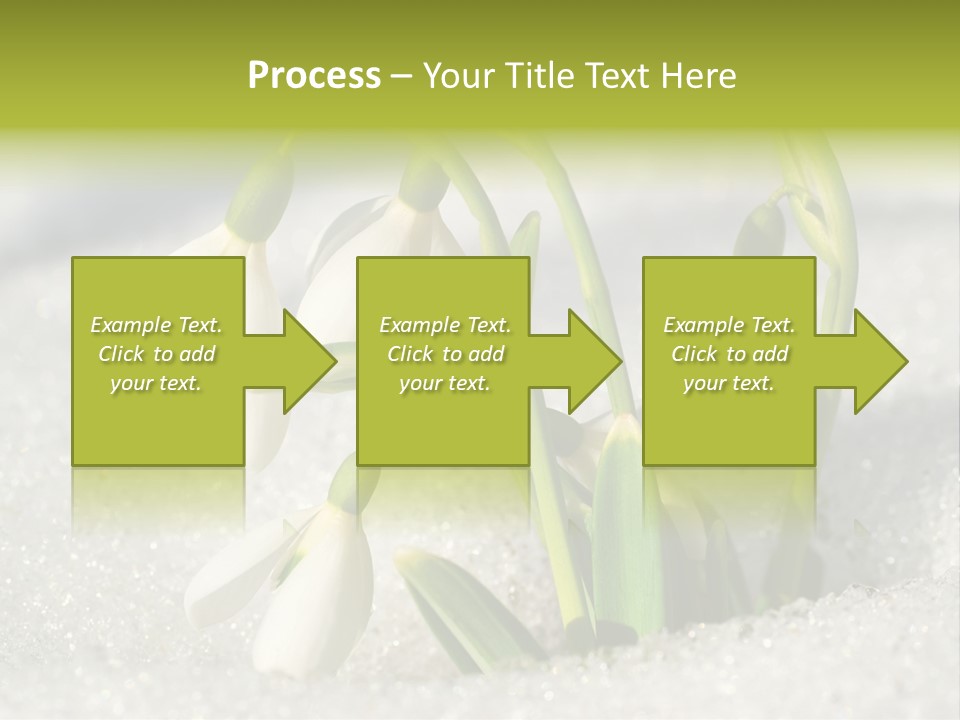 A Group Of Snowdrops In The Snow On A Sunny Day PowerPoint Template