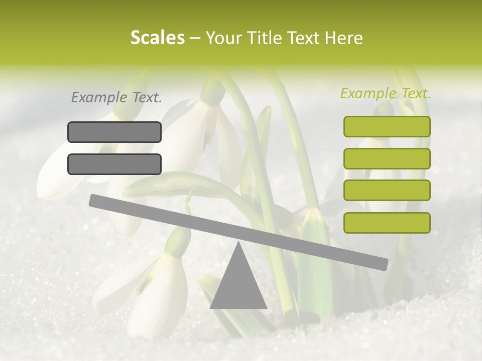 A Group Of Snowdrops In The Snow On A Sunny Day PowerPoint Template