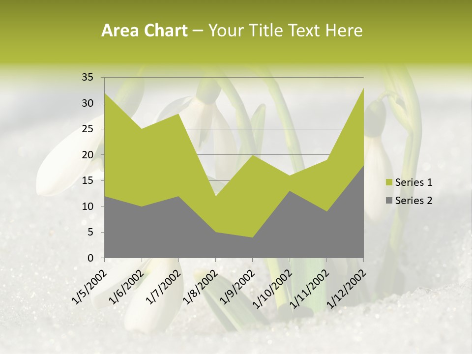 A Group Of Snowdrops In The Snow On A Sunny Day PowerPoint Template