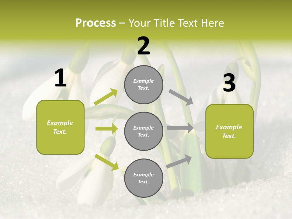 A Group Of Snowdrops In The Snow On A Sunny Day PowerPoint Template