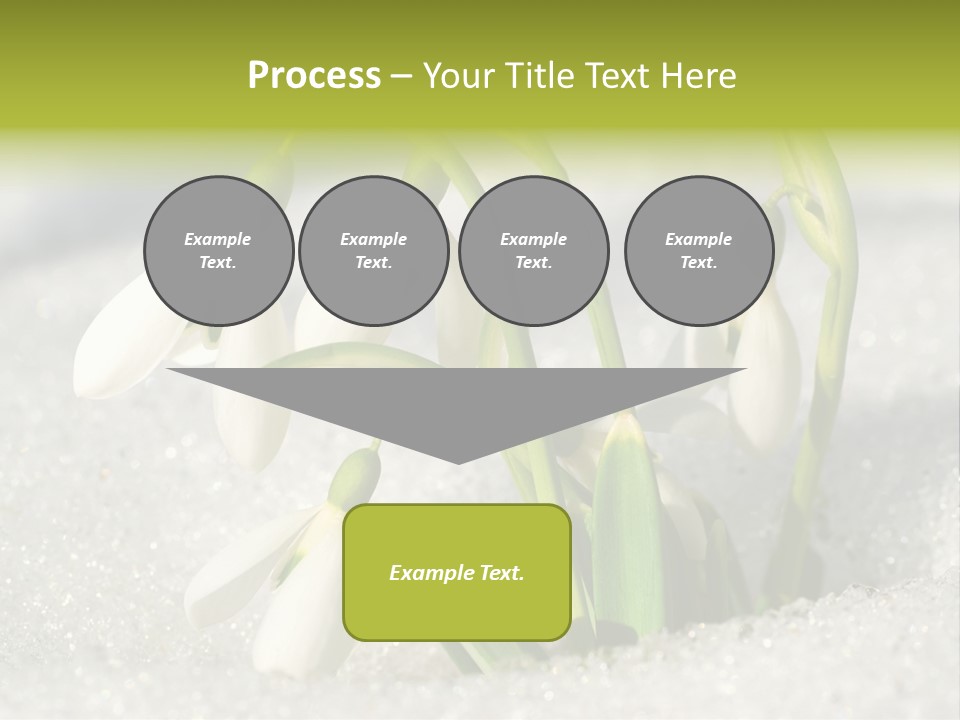 A Group Of Snowdrops In The Snow On A Sunny Day PowerPoint Template