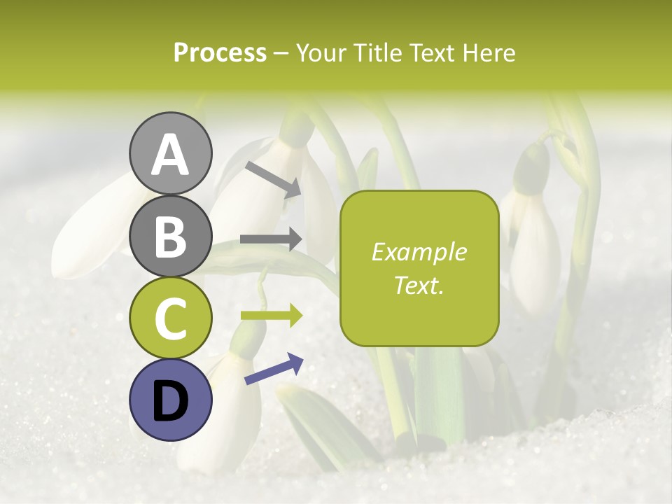 A Group Of Snowdrops In The Snow On A Sunny Day PowerPoint Template