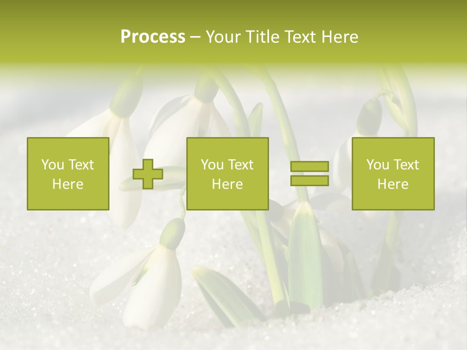 A Group Of Snowdrops In The Snow On A Sunny Day PowerPoint Template