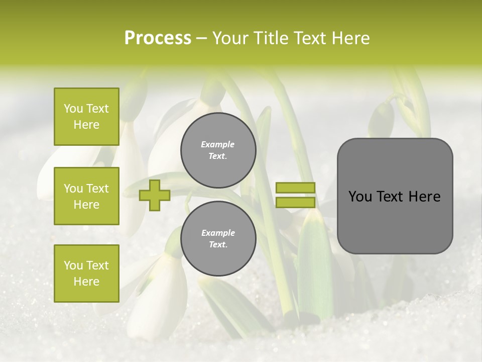A Group Of Snowdrops In The Snow On A Sunny Day PowerPoint Template