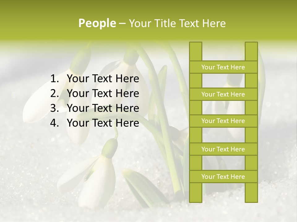 A Group Of Snowdrops In The Snow On A Sunny Day PowerPoint Template