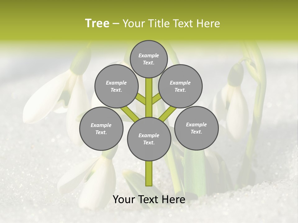 A Group Of Snowdrops In The Snow On A Sunny Day PowerPoint Template