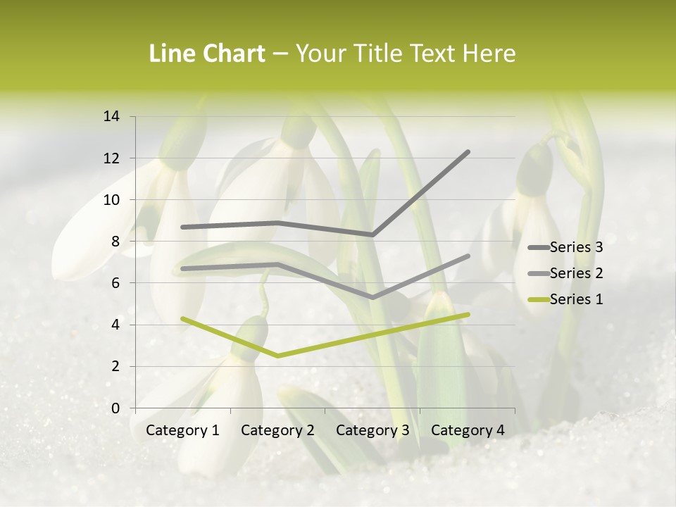 A Group Of Snowdrops In The Snow On A Sunny Day PowerPoint Template