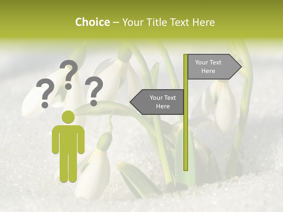 A Group Of Snowdrops In The Snow On A Sunny Day PowerPoint Template