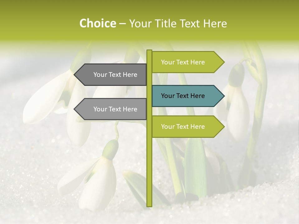 A Group Of Snowdrops In The Snow On A Sunny Day PowerPoint Template