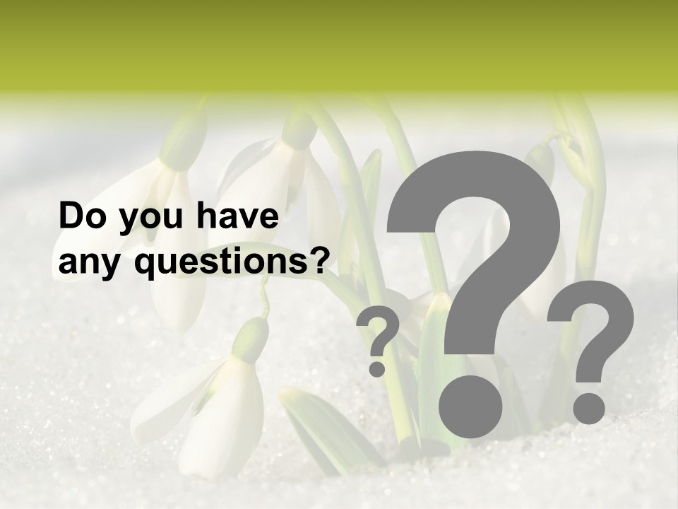 A Group Of Snowdrops In The Snow On A Sunny Day PowerPoint Template