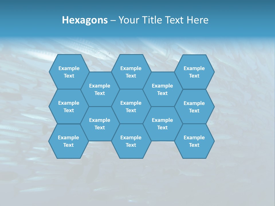 Tropical Reef Fish Pelagic PowerPoint Template