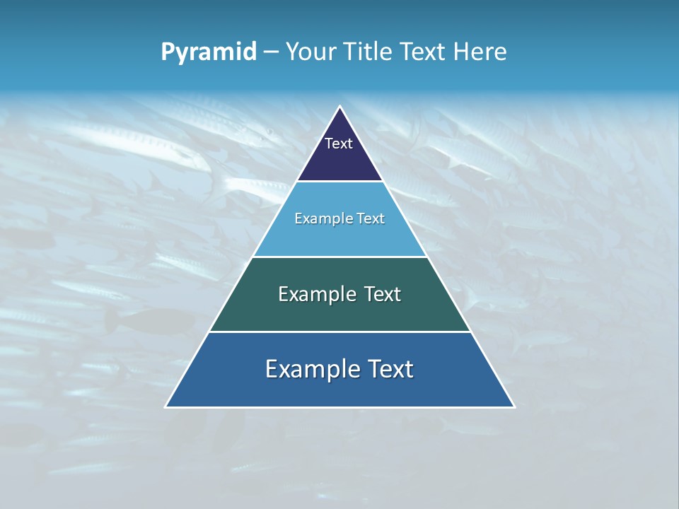 Tropical Reef Fish Pelagic PowerPoint Template