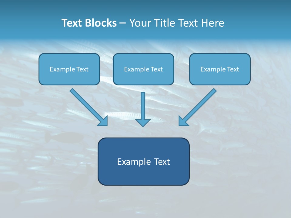 Tropical Reef Fish Pelagic PowerPoint Template