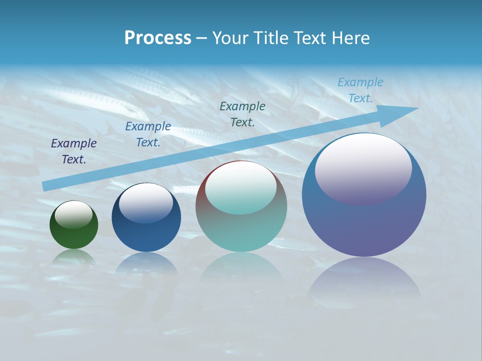 Tropical Reef Fish Pelagic PowerPoint Template