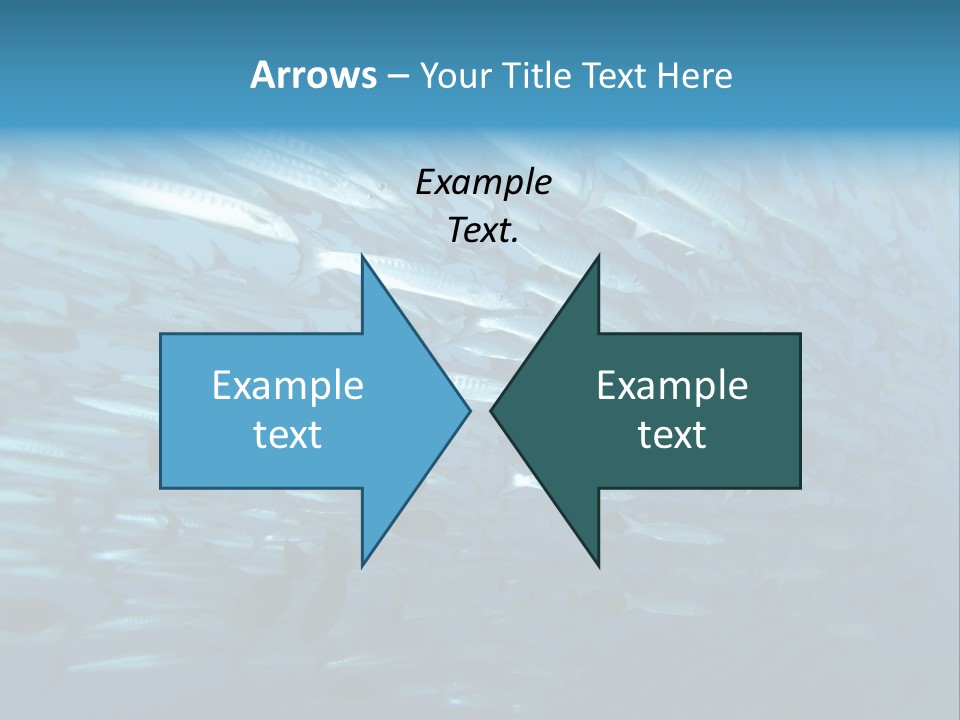 Tropical Reef Fish Pelagic PowerPoint Template