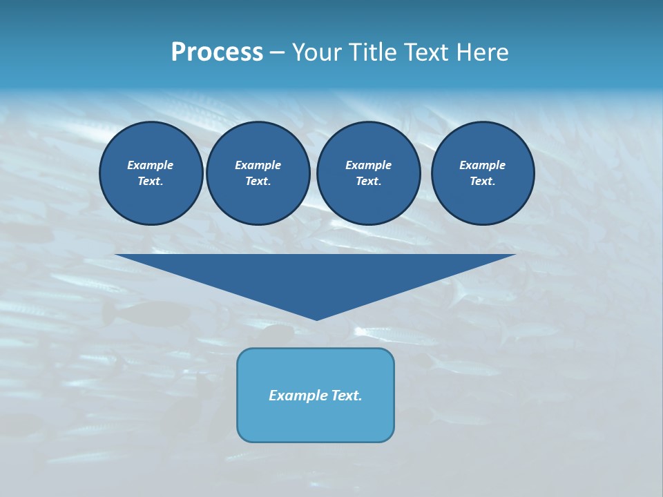 Tropical Reef Fish Pelagic PowerPoint Template