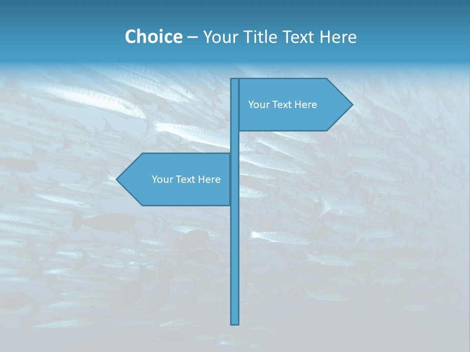 Tropical Reef Fish Pelagic PowerPoint Template