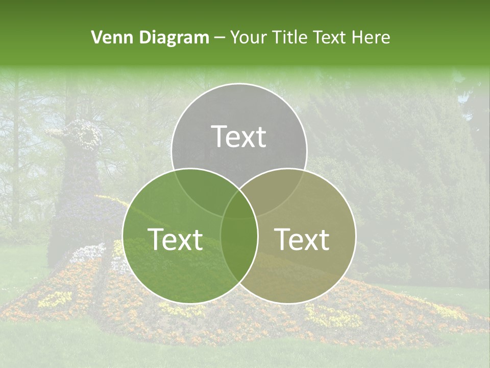 Sunny Day Safety Pavement PowerPoint Template