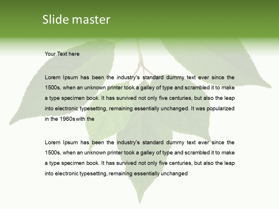 Trunk Small Isolated PowerPoint Template