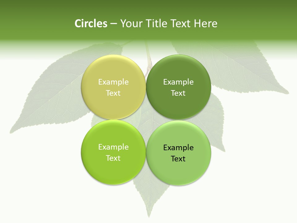 Trunk Small Isolated PowerPoint Template