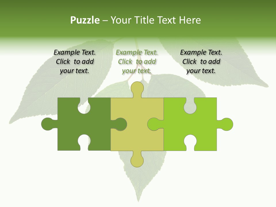 Trunk Small Isolated PowerPoint Template