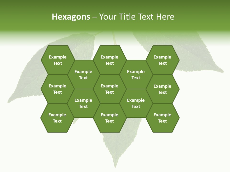 Trunk Small Isolated PowerPoint Template