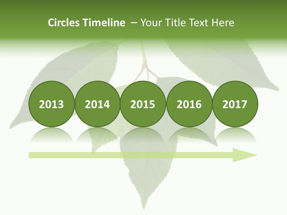 Trunk Small Isolated PowerPoint Template