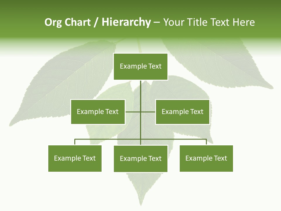 Trunk Small Isolated PowerPoint Template