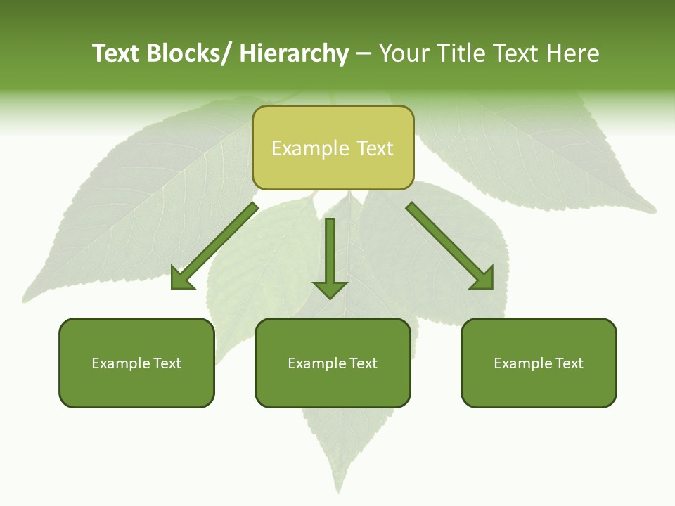 Trunk Small Isolated PowerPoint Template