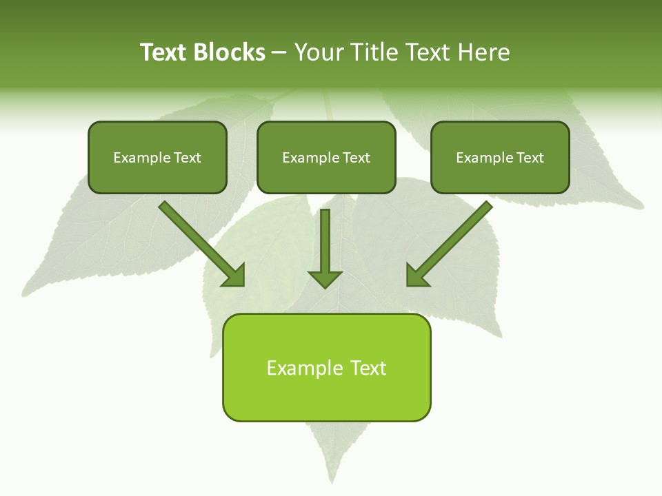Trunk Small Isolated PowerPoint Template