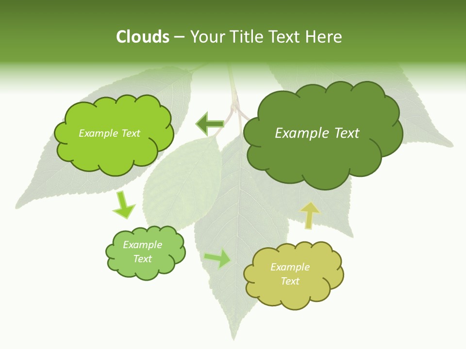 Trunk Small Isolated PowerPoint Template