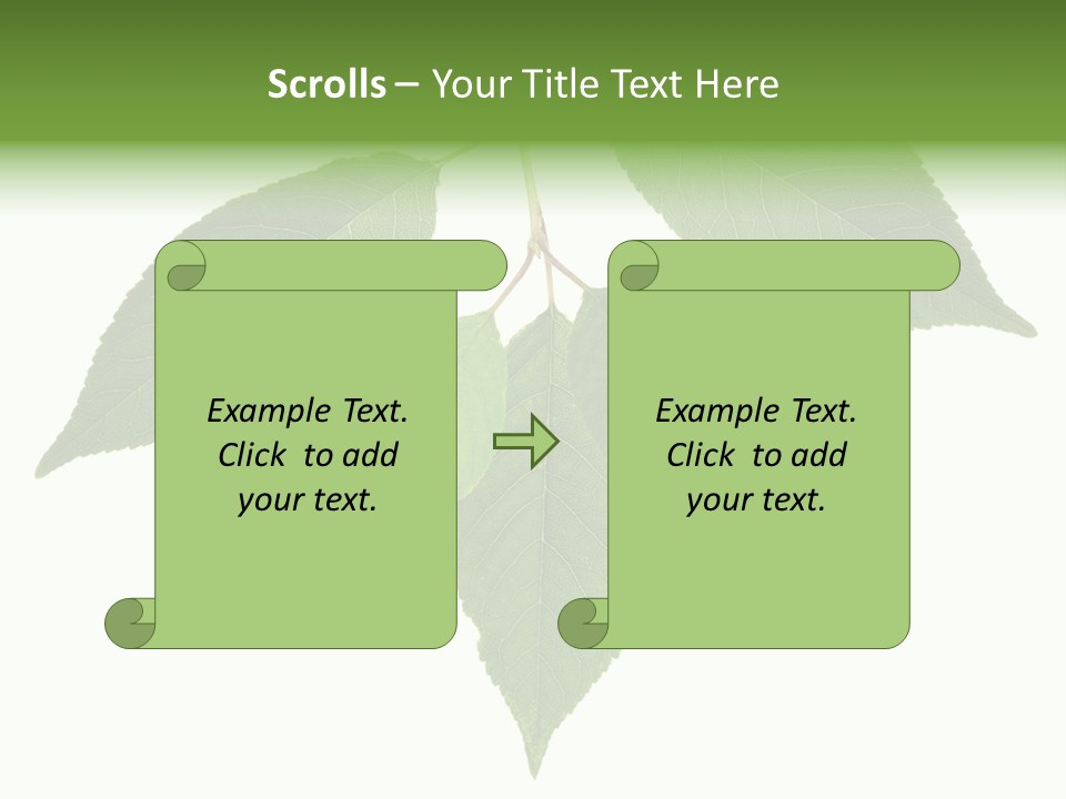 Trunk Small Isolated PowerPoint Template