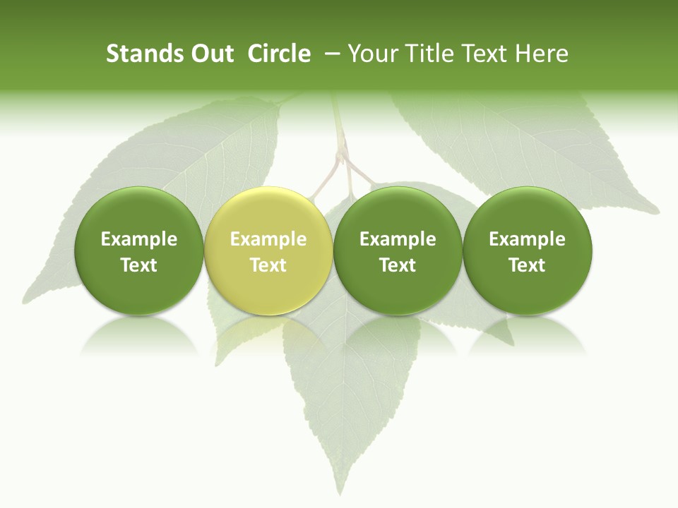 Trunk Small Isolated PowerPoint Template