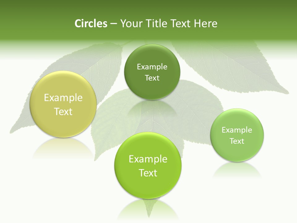 Trunk Small Isolated PowerPoint Template