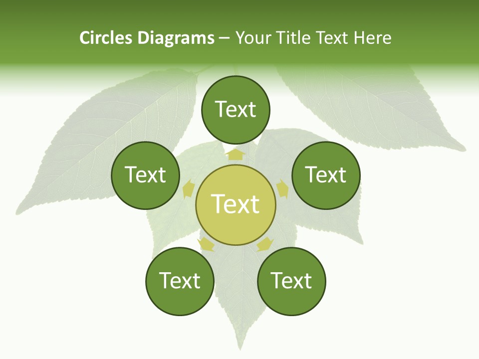 Trunk Small Isolated PowerPoint Template