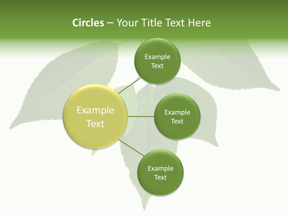 Trunk Small Isolated PowerPoint Template