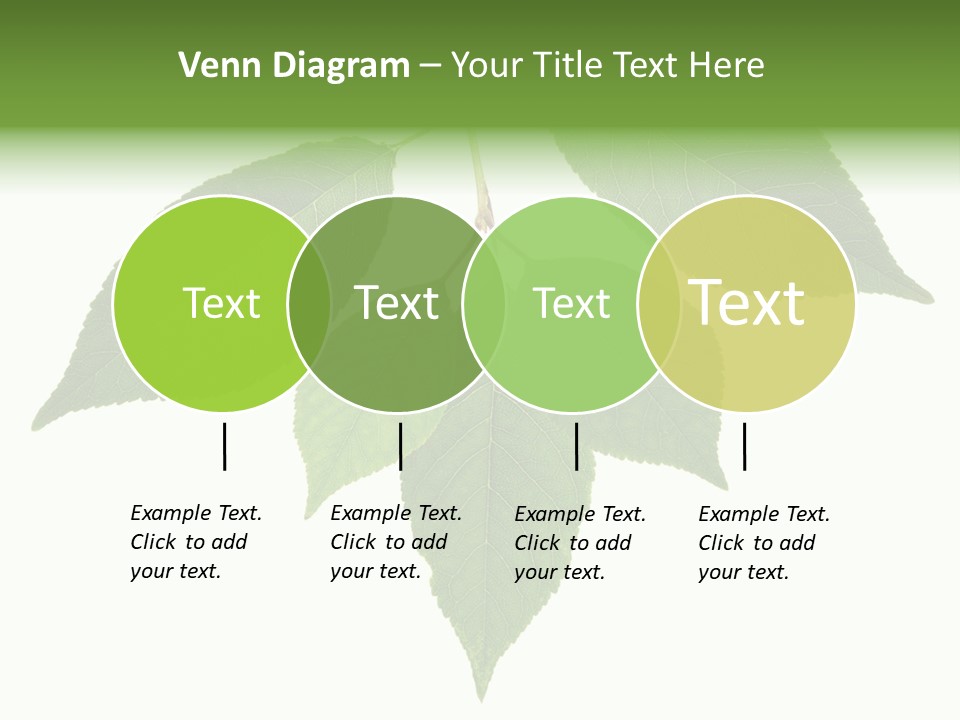 Trunk Small Isolated PowerPoint Template