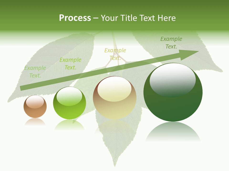 Trunk Small Isolated PowerPoint Template